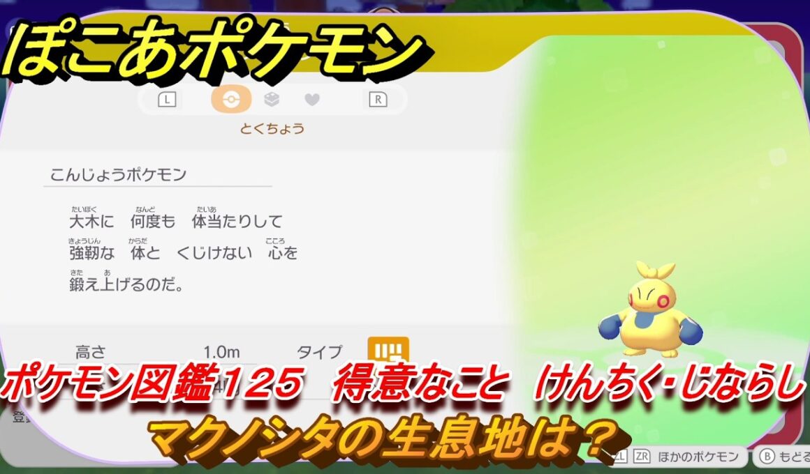 ぽこあポケモン　マクノシタの生息地は？　ポケモン図鑑１２５　得意なこと　けんちく・じならし　＃８７０　【ぽこポケ】