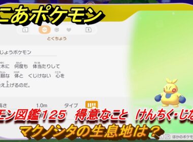 ぽこあポケモン　マクノシタの生息地は？　ポケモン図鑑１２５　得意なこと　けんちく・じならし　＃８７０　【ぽこポケ】