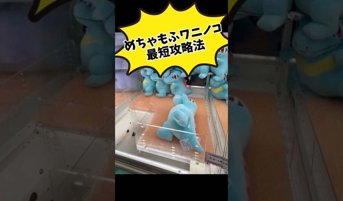 めちゃもふワニノコのクレーンゲーム攻略手引き#ワニノコ#ぬいぐるみ#クレーンゲーム