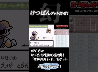バグでもうダメかと思ったらまさかのポッポで脱出成功！！#shorts #short #ポケモン #ゲーム実況 #幕末志士