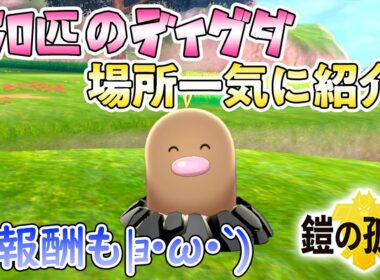 【ポケモン剣盾】#4　150匹のディグダの出現場所＆全報酬を紹介！【ポケモンソードシールド】