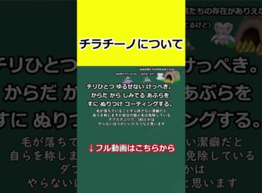 こだわりスカーフで編んだいかさまダイス、チラチーノについて簡単に紹介 #ポケモン #チラチーノ
