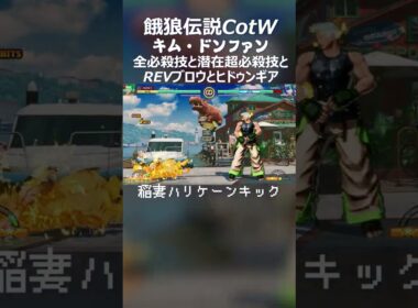 餓狼伝説CotW 「キム・ドンファン」の全必殺技と潜在超必殺技とREVブロウとヒドゥンギアフィニッシュ 技名付き
