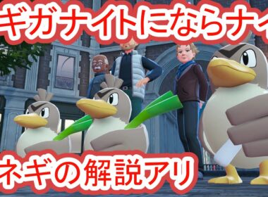 ネギガナイトに進化させる方法と、ながねぎの場所【ポケモンza】