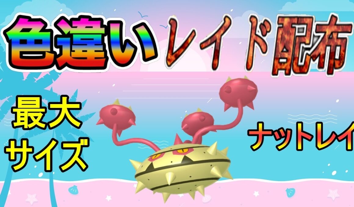 【色違いレイド配布】でかでか ナットレイ Shiny Raid【ポケットモンスターソード＆シールド】