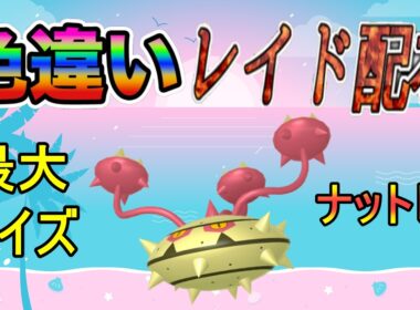 【色違いレイド配布】でかでか ナットレイ Shiny Raid【ポケットモンスターソード＆シールド】