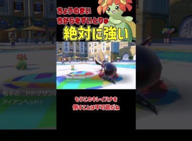 どう考えても最強の キレイハナ