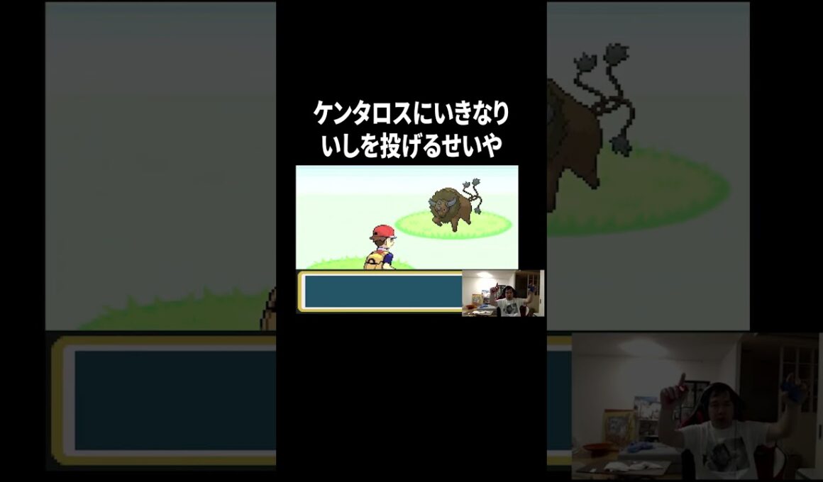 【ポケットモンスター ファイアレッド】ケンタロスにいきなりいしを投げるせいや#イニミニ切り抜き