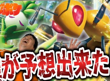 【ポケカ/対戦】誰がこのデッキを予想した!?予想外の活躍を魅せるスピアーexの実態とは!?【VSメガルカリオ】