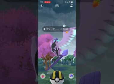 ガラルフリーザー逃亡　 #ポケモンgo #おさんぽおこう #pokemongo #ガラル3鳥