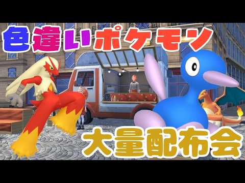 バシャーモ等色違いポケモン大量配布会 詳細は概要欄へ　レジェンズZA ポケモンｓｖ　剣盾　ダイパ