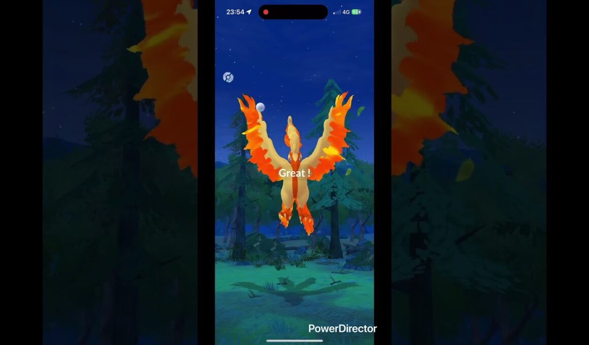 ガラルファイヤー✨ #pokemongo #ポケgo #pokemon #ポケモンgo #ポケモン #shinypokemon #pokémon #shiny #ゲーム