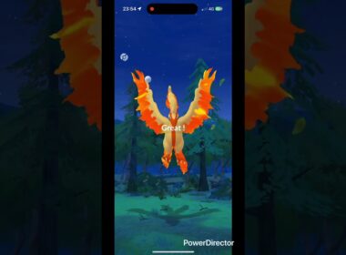 ガラルファイヤー✨ #pokemongo #ポケgo #pokemon #ポケモンgo #ポケモン #shinypokemon #pokémon #shiny #ゲーム