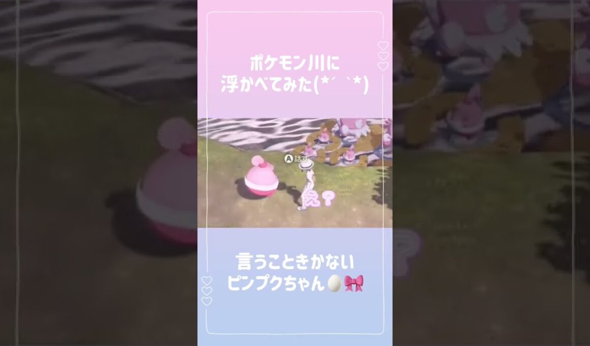 ポケモン川に浮かべてみた🥰💖めちゃくちゃかわいくて草 #ポケモン #ポケモンsv #ポケモンアルセウス #親分 #ピンプクちゃん