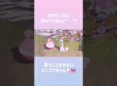 ポケモン川に浮かべてみた🥰💖めちゃくちゃかわいくて草 #ポケモン #ポケモンsv #ポケモンアルセウス #親分 #ピンプクちゃん