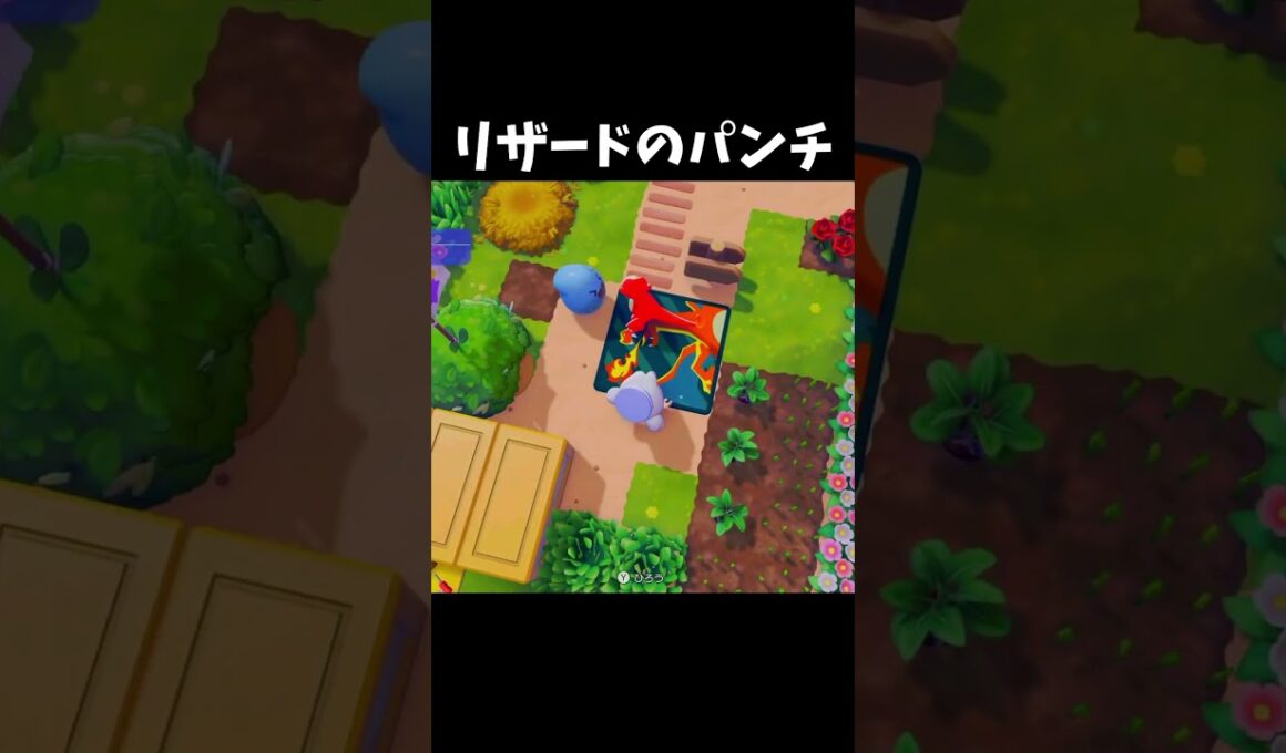 リザードのパンチ #ぽこあポケモン #shorts