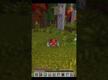 Ledyba 165 レディバ (Rediba) Lv 35 - Cobblemon Academy 16