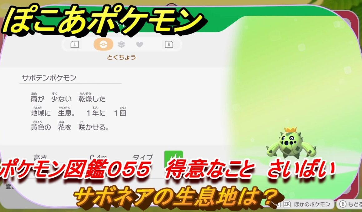 ぽこあポケモン　サボネアの生息地は？　ポケモン図鑑０５５　得意なこと　さいばい　＃８００　【ぽこポケ】