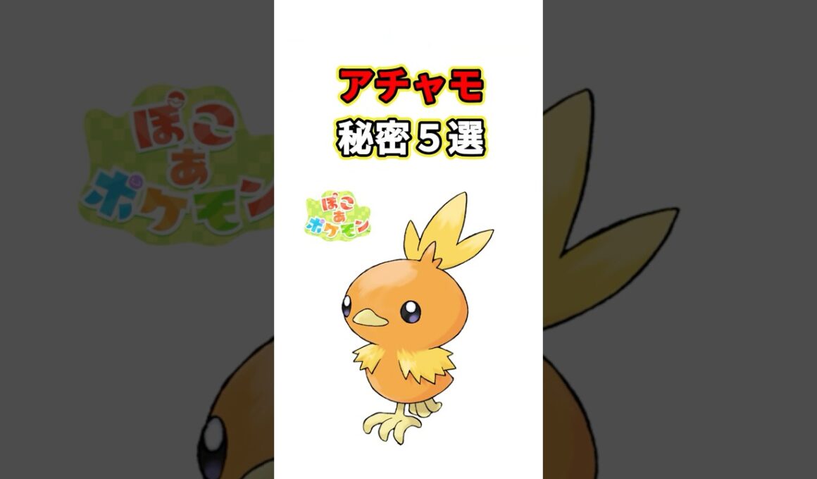 アチャモの秘密　ポケモン解説