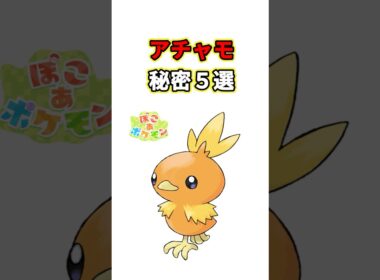 アチャモの秘密　ポケモン解説