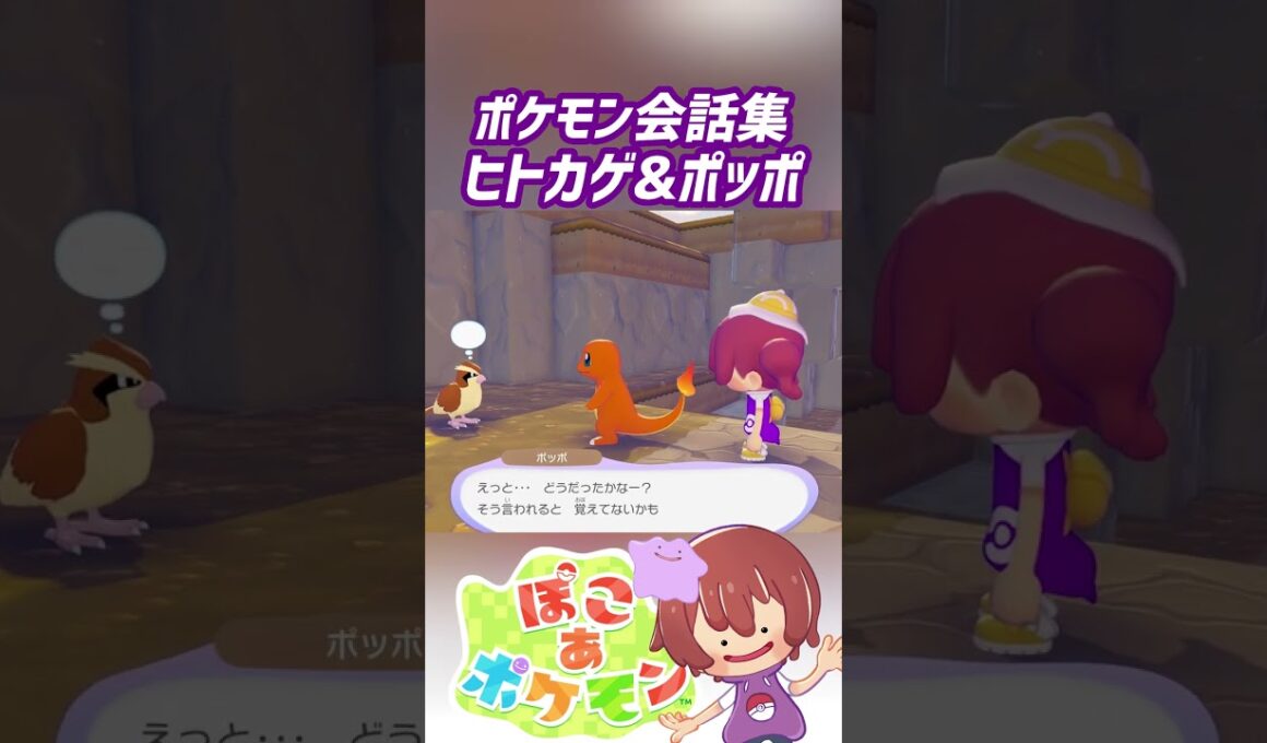 ポケモン会話集 ヒトカゲ&ポッポ #ぽこポケ #ぽこあポケモン #PokemonPokopia #Pokopia