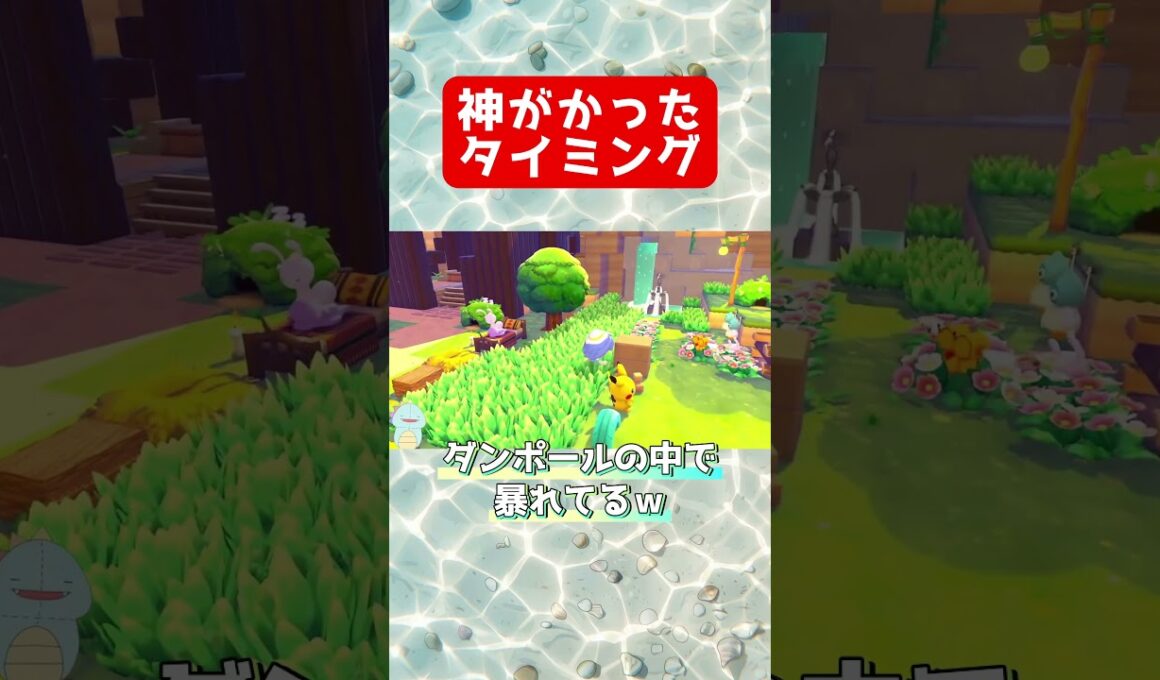 ぽこあポケモン | 神がかったタイミングで出現するガーディ #shorts