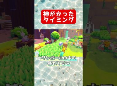 ぽこあポケモン | 神がかったタイミングで出現するガーディ #shorts