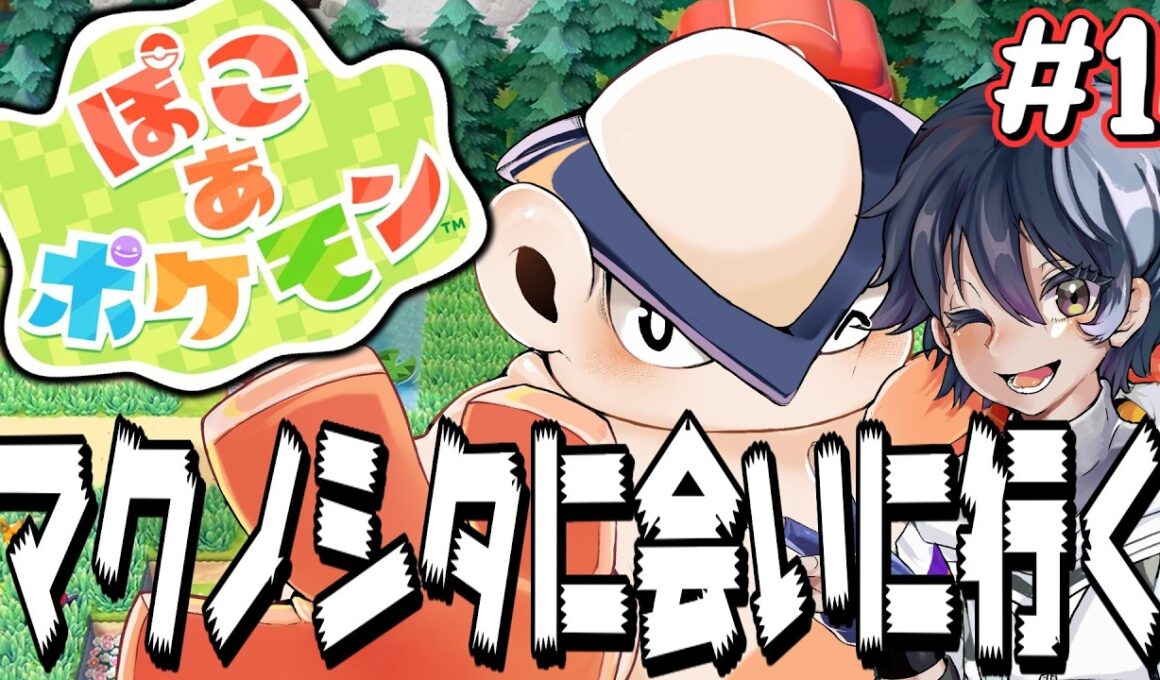 寝る前はポケモンたちで癒されるのもええでしょう、、、、その２【ぽこ あ ポケモン】【ハリテヤマ】