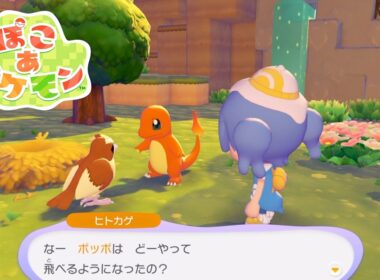 【ぽこあポケモン】ヒトカゲとポッポの会話【ぽこポケ/Switch2】