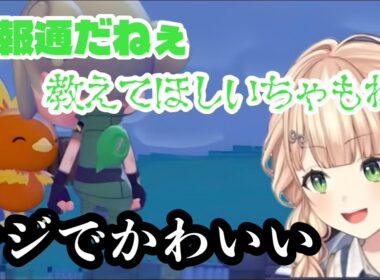 アチャモが可愛すぎて喋り方がモノョモノョしたり怪しい人になったりするろってぃ（鏑木ろこ/にじさんじ/にじさんじ切り抜き/切り抜き）