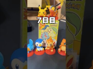 【初のくさタイプ？！】チコリータ来るまでチョコエッグ生活7日目 #ポケモン #vtuber  #shorts #らて時間