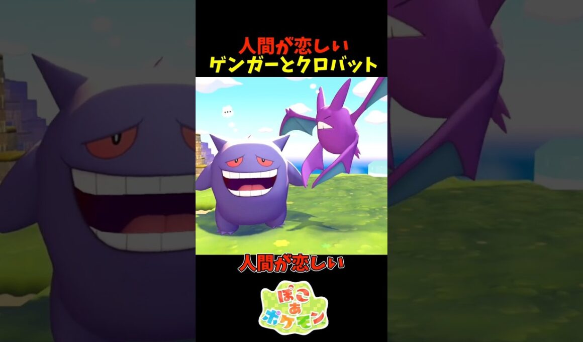 【ぽこあポケモン】人間が恋しいゲンガーとクロバット