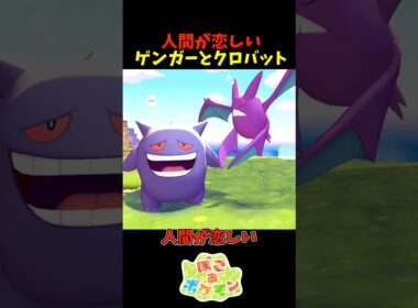 【ぽこあポケモン】人間が恋しいゲンガーとクロバット