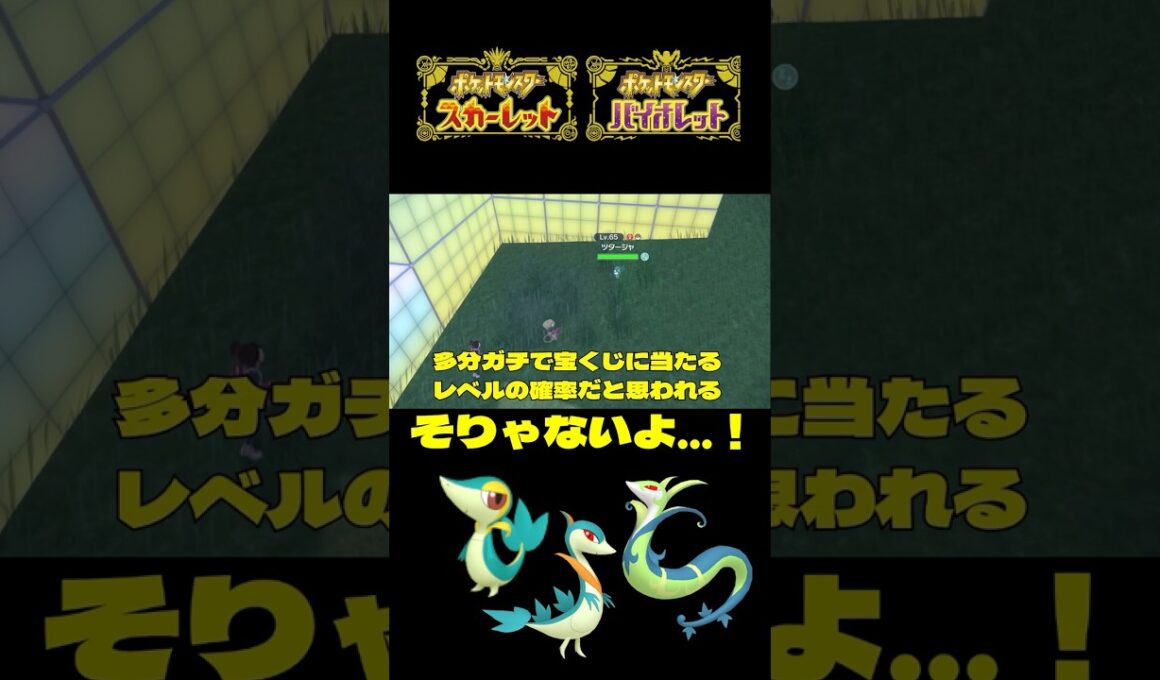 捕獲にそんな手間がかからなかったツタージャ色違い♀証持ち【ポケモンSV】【＃ポケモンSV切抜】【＃ポケモンSV配信】【＃Shorts】【#ポケモンsv対戦】
