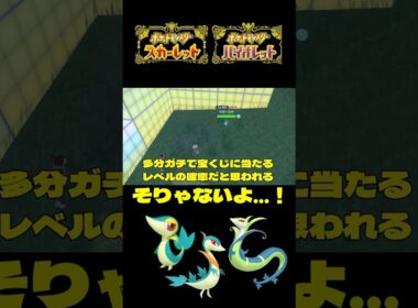 捕獲にそんな手間がかからなかったツタージャ色違い♀証持ち【ポケモンSV】【＃ポケモンSV切抜】【＃ポケモンSV配信】【＃Shorts】【#ポケモンsv対戦】