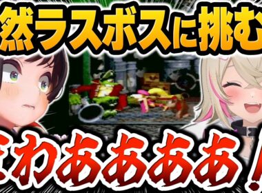 ゲームオーバー後、なぜか『ラスボス戦』から再開するモココのフリーダムすぎる判断に絶句する大空スバルｗ【ホロライブ切り抜き / ドンキーコング2 オフコラボ編】