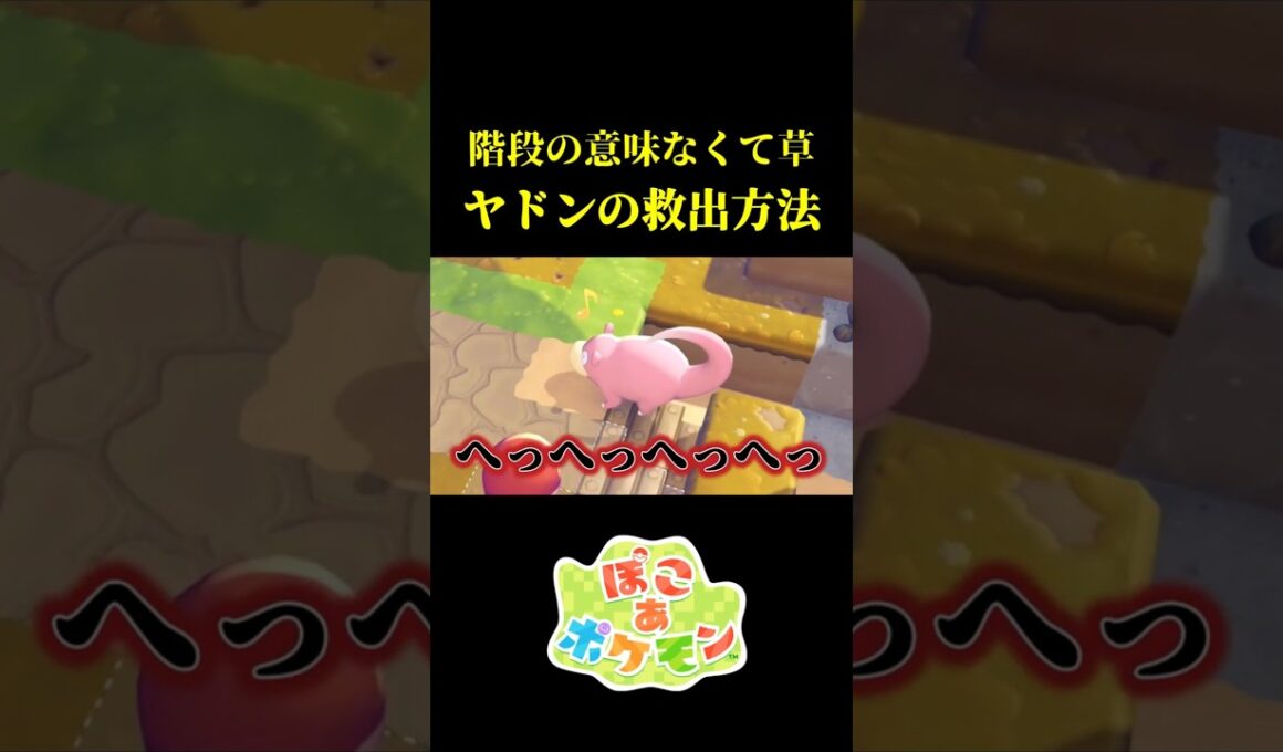 意味がなさすぎるヤドンの救出ミッションｗｗ【ぽこ あ ポケモン】