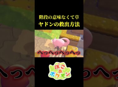意味がなさすぎるヤドンの救出ミッションｗｗ【ぽこ あ ポケモン】
