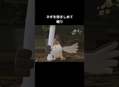 カモネギたちの寝方の違い【ポケモンZA】