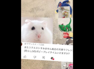 天使のラフレシアvsポピープレイタイム #ポピープレイタイム＃天使のラフレシア