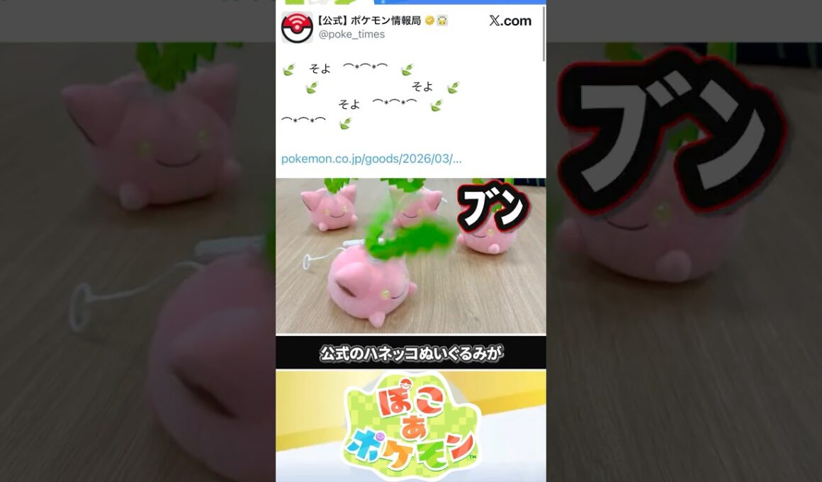 【公式の虚言】そよぐハネッコぬいぐるみが全然そよいでない件 #ぽこあポケモン #ポケモン #ぽこポケ