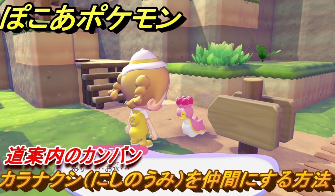 ぽこあポケモン　カラナクシ（にしのうみ）を仲間にする方法　道案内のカンバン　＃３４７　【ぽこポケ】
