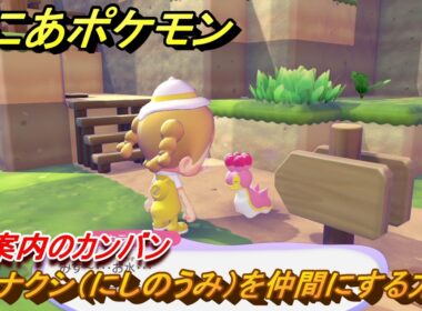 ぽこあポケモン　カラナクシ（にしのうみ）を仲間にする方法　道案内のカンバン　＃３４７　【ぽこポケ】