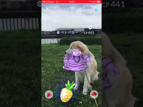 ポケモンGO  ロッキーとベトベター