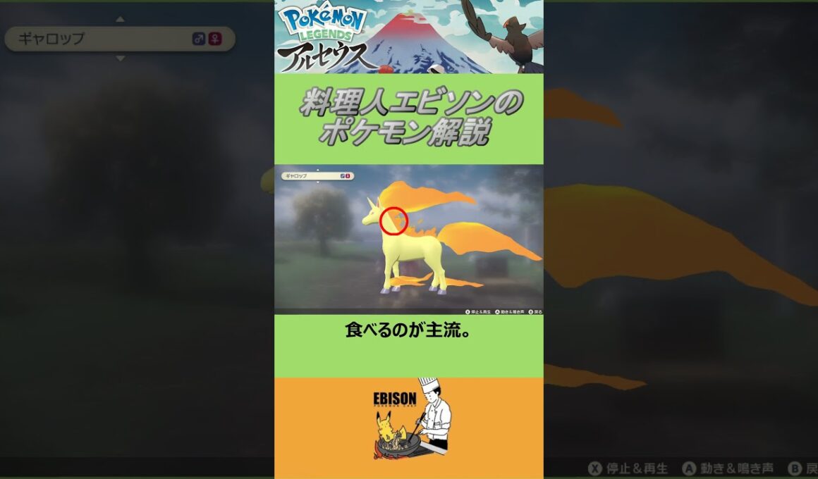 エビソンのポケモン解説278　#ポケモン #レジェンズ  #ギャロップ