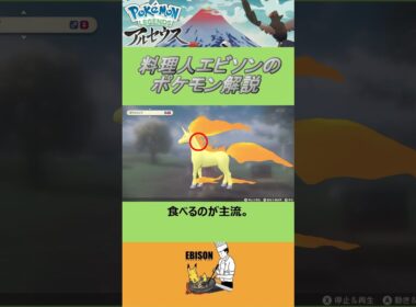 エビソンのポケモン解説278　#ポケモン #レジェンズ  #ギャロップ