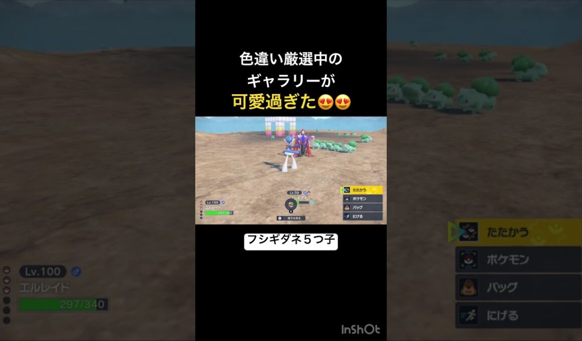 色違い厳選してたらフシギダネ5つ子に出会いました笑 #pokemon #ポケモン #フシギダネ #ポケモンチャンピオンズ #ポケモンsv #pokemonchampions