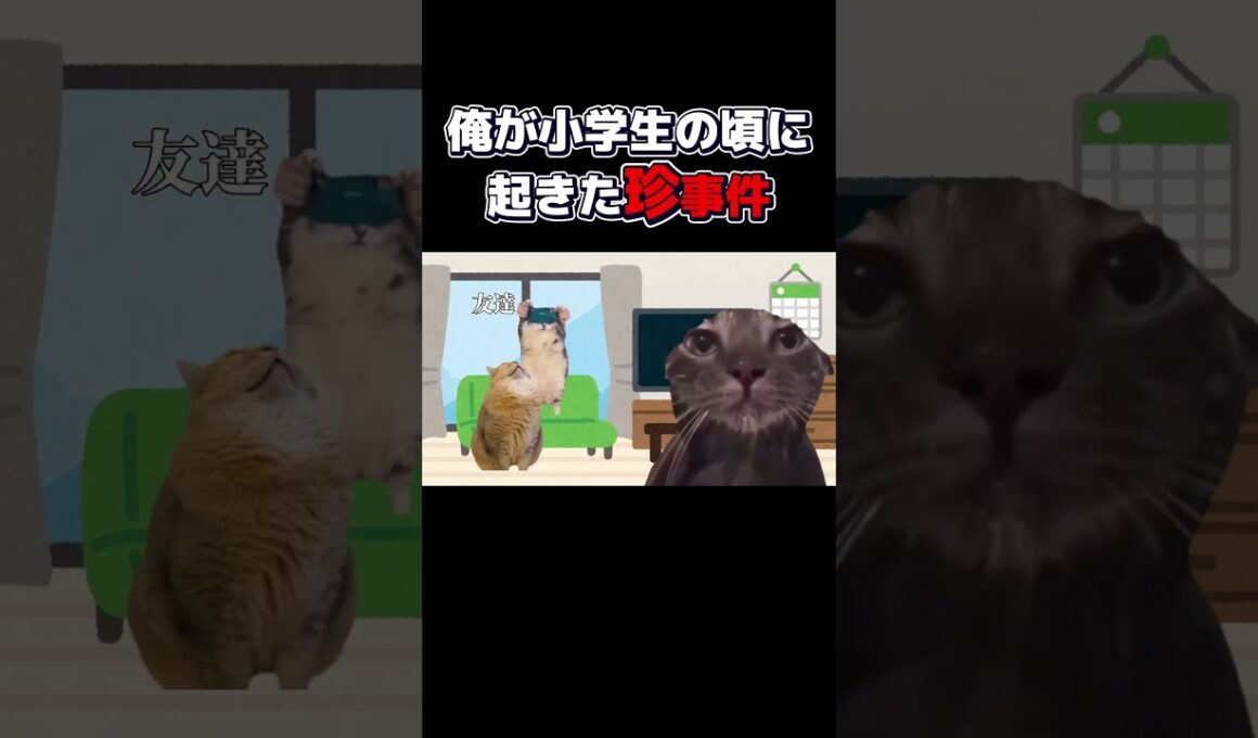 俺が最初に言ってたのに【ショートVER】#鳥ミーム#ミーム#実話#shorts