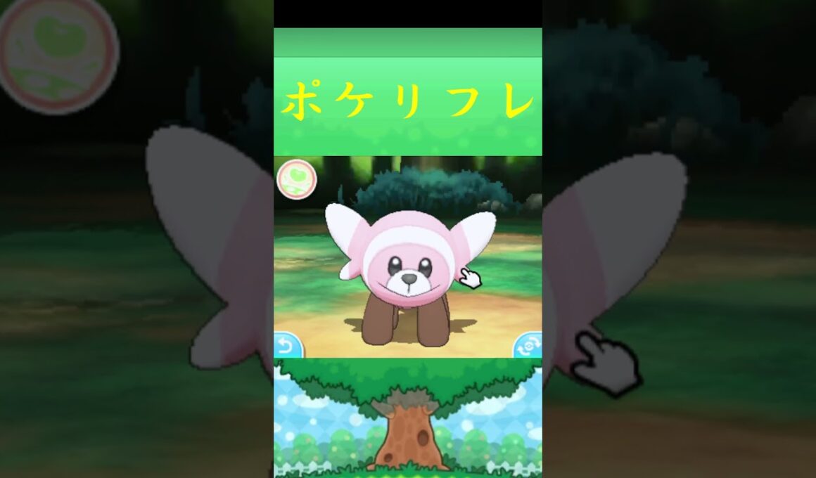 ヌイコグマ*ポケモン ポケリフレ ポケパルレ #ポケモン #Pokemon  #3DS #nintendoswitch #ポケモンsv #ポケモン #キャンプ #サンドイッチ #ピクニック