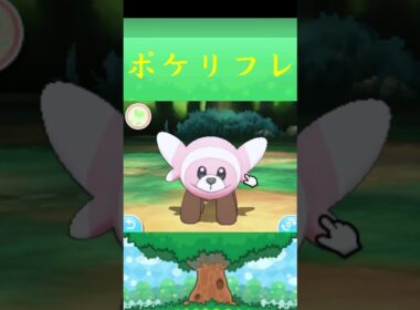ヌイコグマ*ポケモン ポケリフレ ポケパルレ #ポケモン #Pokemon  #3DS #nintendoswitch #ポケモンsv #ポケモン #キャンプ #サンドイッチ #ピクニック